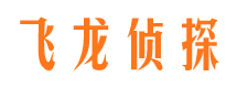 定陶市场调查